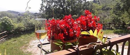 La Magione del Capitano