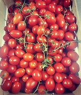 La Magione del Capitano