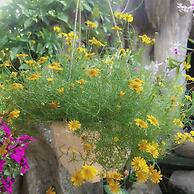 Mountain House Villa