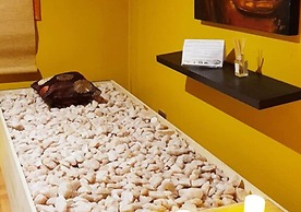 Las Montañas de Olmué