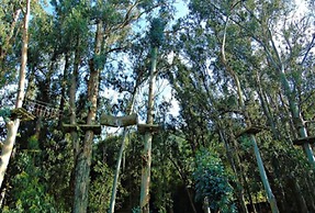 Las Montañas de Olmué