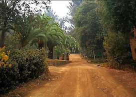 Las Montañas de Olmué
