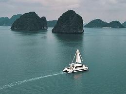 Scarlet Pearl Cruises