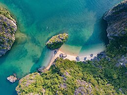 Scarlet Pearl Cruises