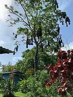 All Rankins Eco-Lodge