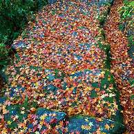 Akitsukikominkaryokan You