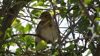 Storms Resort Nanyuki