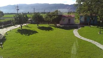 Elizabeth Bed And Breakfast