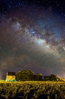 Elizabeth Bed And Breakfast