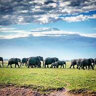 Kimana Amboseli Camp