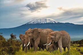 Kimana Amboseli Camp