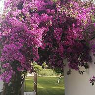 Myndos Bed & Breakfast