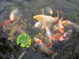 Pousada Das Maritacas