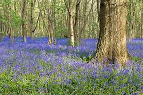 Owl Barn, Sisland - Spacious Apartment