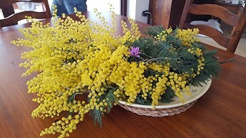 Trulli Parco Grande Con Piscina Privata