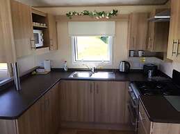 Yellow Hammer - Free Wifi