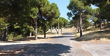 Camlaralti Pansiyon