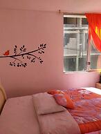 Hostal Santa Cruz Backpackers