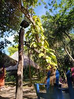 Ecohotel Las Palmeras