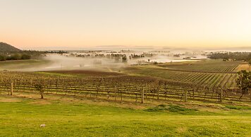 Audrey Wilkinson Vineyard