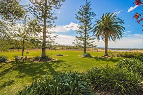 Cockfighters Ghost Vineyard