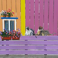 Fu Chuan Garden Homestay