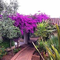 Villaggio Turistico Defensola