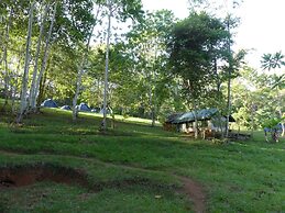 Amani Forest Camp Emau Hill