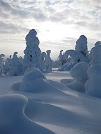 Wilderness chalet Kuusamo