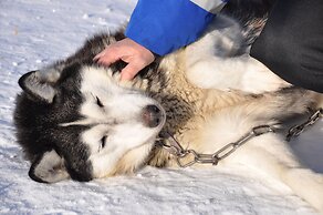 Wilderness chalet Kuusamo