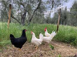Agriturismo L'Antica Fornace