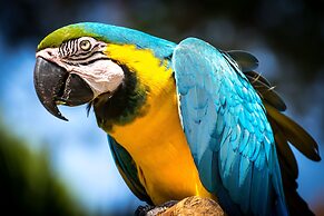 Yacumama Lodge & Excursions