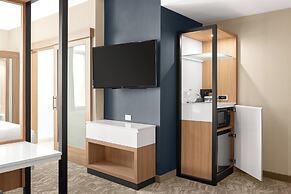 SpringHill Suites by Marriott Jackson