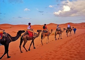 Desert Berber Fire Camp
