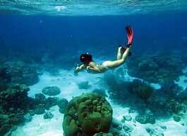 Playa Brisa y Mar Apartments