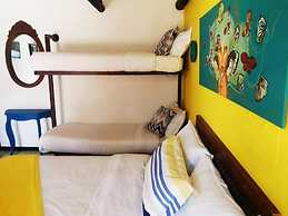 Ficus Hotel Boutique
