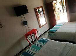 Ficus Hotel Boutique