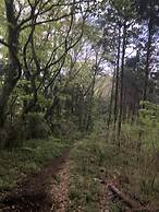 Hotel Gendairakuen Isehara - Adults Only