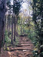 Hotel Gendairakuen Isehara - Adults Only