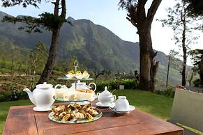Tea & Experience Factory