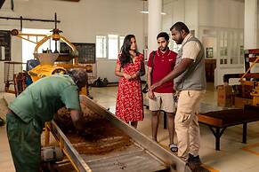 Tea & Experience Factory