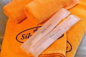 SILVER SPRAY Yamanakako