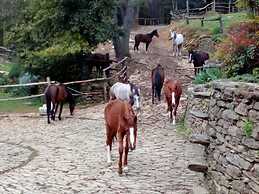 Centro Trekking A Cavallo Monte Brugiana