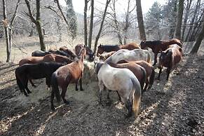 Centro Trekking A Cavallo Monte Brugiana