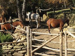 Centro Trekking A Cavallo Monte Brugiana