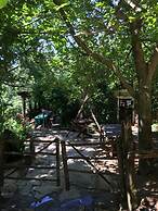 Centro Trekking A Cavallo Monte Brugiana