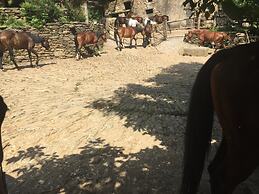 Centro Trekking A Cavallo Monte Brugiana