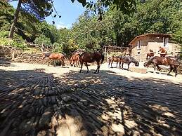 Centro Trekking A Cavallo Monte Brugiana