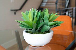 Frida's Abode Walk to the Stadium Rooftop View