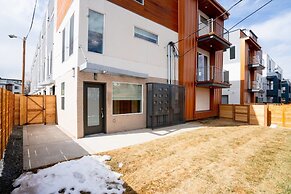 The Mile High Bohemian Retreat Roof Top Views